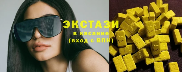 гидра Вяземский
