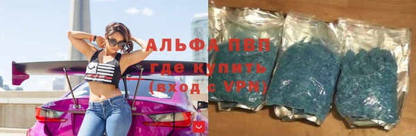 гидра Вяземский