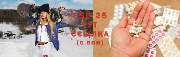 гидра Вяземский