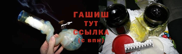 гидра Вяземский