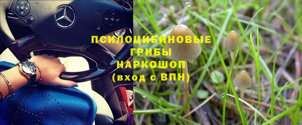 ECSTASY Вязники
